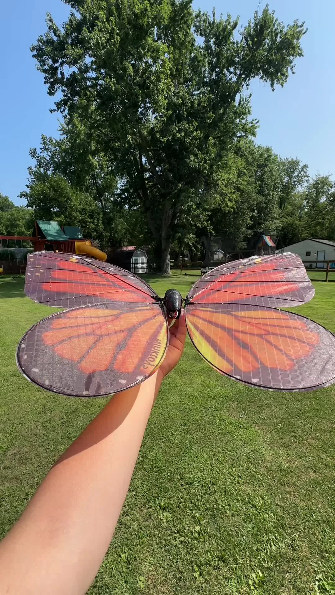 Okay… this is cool 🤩🦋