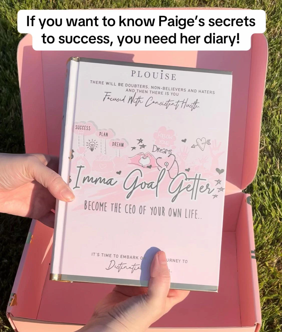 @jacrocklifetok TikTok Shop review: A goal-setting diary product walkthrough